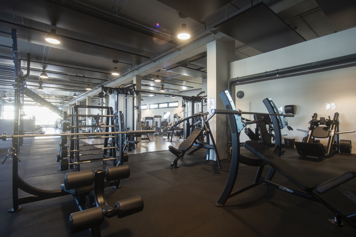 Freihantelbereich im B-FiT Cadolzburg