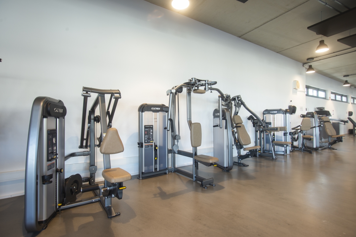 Kraftmaschinen im B-FiT Cadolzburg